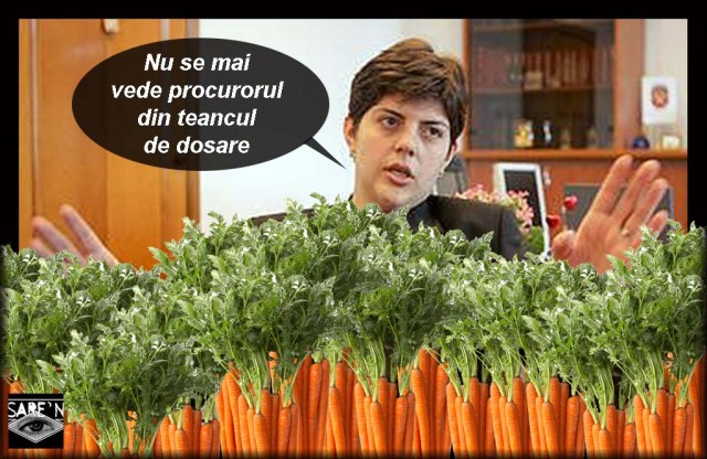 productia de morcovi